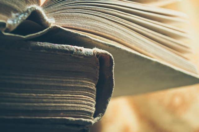 Von hans christian andersen bis heute: Die entwicklung der dänischen literatur